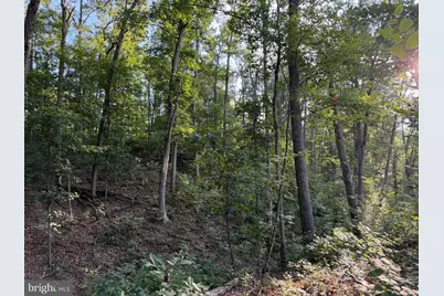 Tract 1: 152.44+/- Acres Off Of Laurel Grove Road, Winchester, VA 22602 - Photo 51