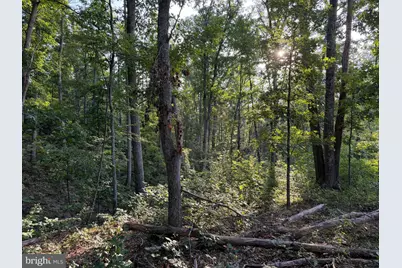 Tract 1: 152.44+/- Acres Off Of Laurel Grove Road, Winchester, VA 22602 - Photo 49
