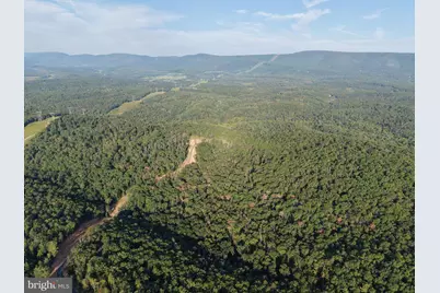 Tract 1: 152.44+/- Acres Off Of Laurel Grove Road, Winchester, VA 22602 - Photo 5