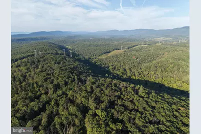Tract 1: 152.44+/- Acres Off Of Laurel Grove Road, Winchester, VA 22602 - Photo 11