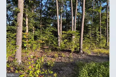 Tract 1: 152.44+/- Acres Off Of Laurel Grove Road, Winchester, VA 22602 - Photo 39