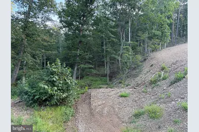 Tract 1: 152.44+/- Acres Off Of Laurel Grove Road, Winchester, VA 22602 - Photo 29