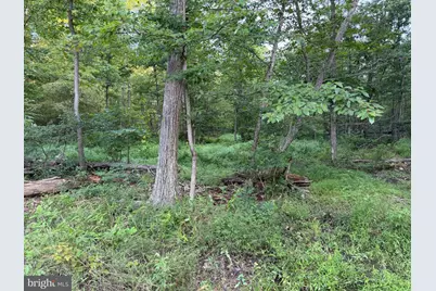 Tract 1: 152.44+/- Acres Off Of Laurel Grove Road, Winchester, VA 22602 - Photo 31