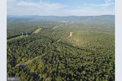 Tract 1: 152.44+/- Acres Off Of Laurel Grove Road, Winchester, VA 22602 - Photo 3