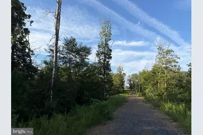 Tract 2: 158.43+/- Acres Laurel Grove Rd, Winchester, VA 22602 - Photo 15