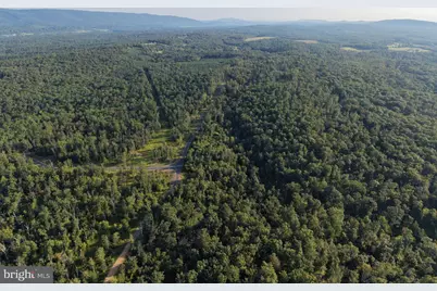 Tract 2: 158.43+/- Acres Laurel Grove Rd, Winchester, VA 22602 - Photo 9