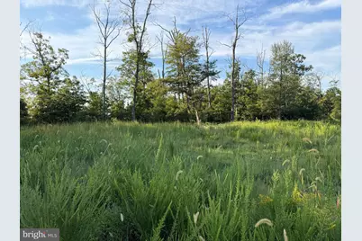 Tract 2: 158.43+/- Acres Laurel Grove Rd, Winchester, VA 22602 - Photo 25