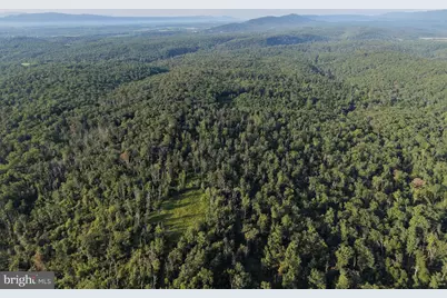 Tract 2: 158.43+/- Acres Laurel Grove Rd, Winchester, VA 22602 - Photo 11