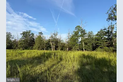 Tract 2: 158.43+/- Acres Laurel Grove Rd, Winchester, VA 22602 - Photo 27