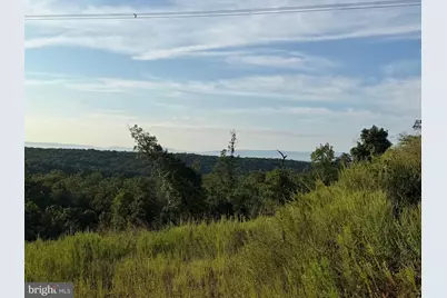 Tract 2: 158.43+/- Acres Laurel Grove Rd, Winchester, VA 22602 - Photo 33