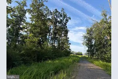 Tract 2: 158.43+/- Acres Laurel Grove Rd, Winchester, VA 22602 - Photo 17