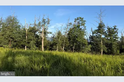 Tract 2: 158.43+/- Acres Laurel Grove Rd, Winchester, VA 22602 - Photo 29
