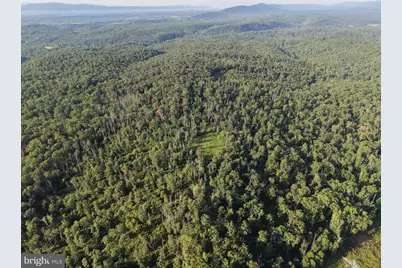 Tract 2: 158.43+/- Acres Laurel Grove Rd, Winchester, VA 22602 - Photo 5