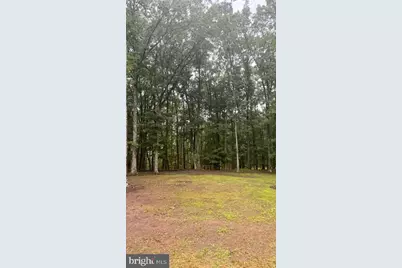 220 Retreat Lane, Winchester, VA 22603 - Photo 37