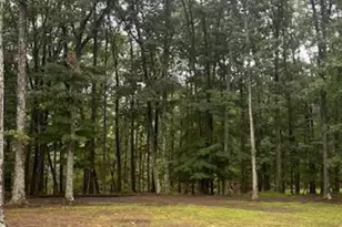 220 Retreat Ln, Winchester, VA 22603 - Photo 37