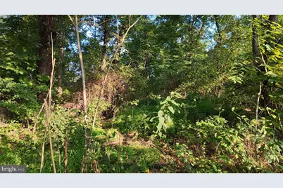 Dominion Road, Winchester, VA 22603 - Photo 5