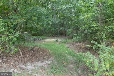 127 Mountain View Road, Winchester, VA 22603 - Photo 57