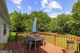 310 Goldenrod Rd, Winchester, VA 22602 - Photo 51