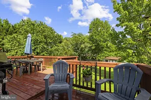 310 Goldenrod Rd, Winchester, VA 22602 - Photo 53