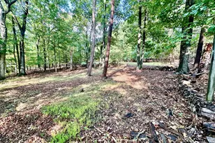 1058 Lakeview Dr, Cross Junction, VA 22625 - Photo 3