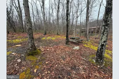 610 Puma Trail, Winchester, VA 22602 - Photo 25