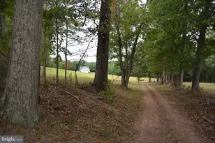 3016 Siler Rd, Winchester, VA 22603 - Photo 79