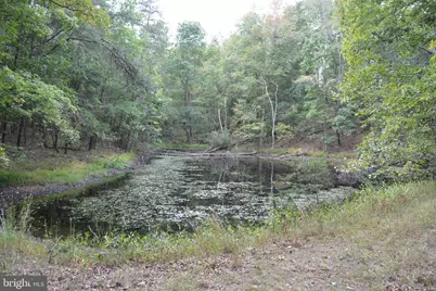 3016 Siler Road, Winchester, VA 22603 - Photo 43