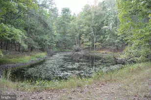 3016 Siler Rd, Winchester, VA 22603 - Photo 43
