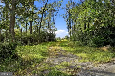 0 Cedar Hill Road, Clear Brook, VA 22624 - Photo 11