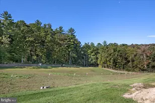 791 Pinetop Rd, Gore, VA 22637 - Photo 29