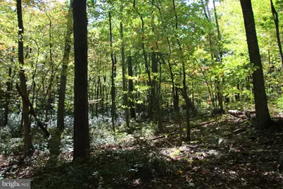 Fall Run Lane, Winchester, VA 22602 - Photo 11