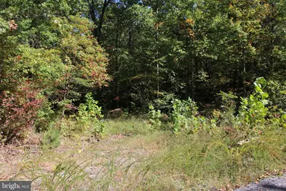 Fall Run Lane, Winchester, VA 22602 - Photo 19