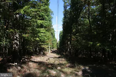 Fall Run Lane, Winchester, VA 22602 - Photo 27