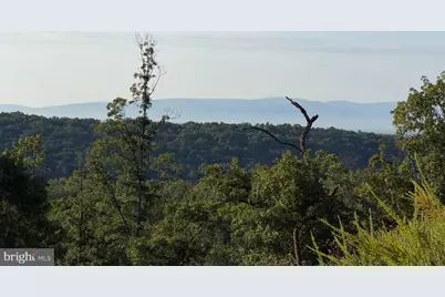 310.87+/- Acres Off Laurel Grove Road, Winchester, VA 22602 - Photo 91