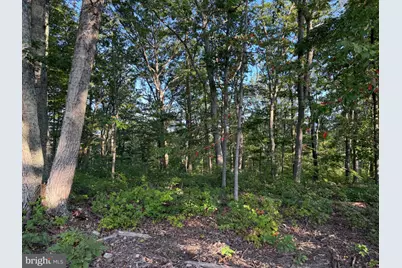 310.87+/- Acres Off Laurel Grove Road, Winchester, VA 22602 - Photo 75