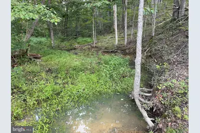 310.87+/- Acres Off Laurel Grove Road, Winchester, VA 22602 - Photo 31