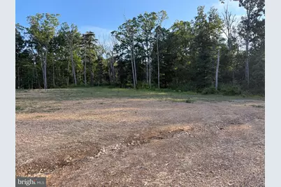 310.87+/- Acres Off Laurel Grove Road, Winchester, VA 22602 - Photo 35
