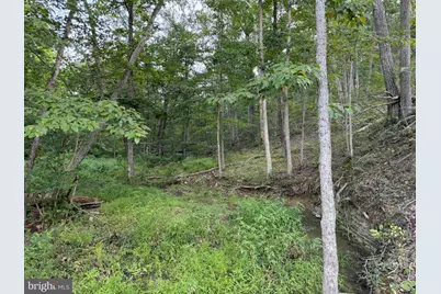 310.87+/- Acres Off Laurel Grove Road, Winchester, VA 22602 - Photo 33