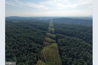 310.87+/- Acres Off Laurel Grove Road, Winchester, VA 22602 - Photo 65