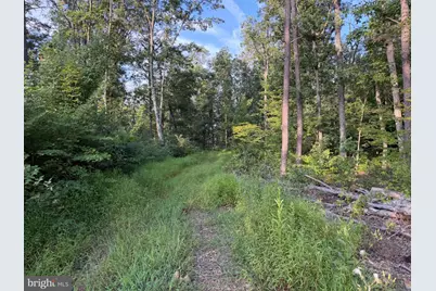 310.87+/- Acres Off Laurel Grove Road, Winchester, VA 22602 - Photo 41