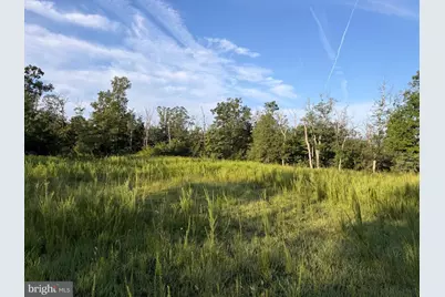 310.87+/- Acres Off Laurel Grove Road, Winchester, VA 22602 - Photo 83