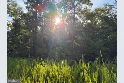 310.87+/- Acres Off Laurel Grove Road, Winchester, VA 22602 - Photo 73