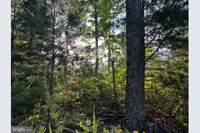 310.87+/- Acres Off Laurel Grove Road, Winchester, VA 22602 - Photo 81
