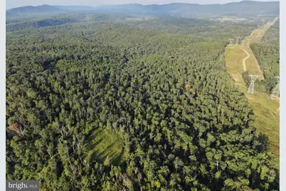 310.87+/- Acres Off Laurel Grove Road, Winchester, VA 22602 - Photo 69