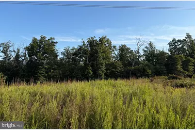 310.87+/- Acres Off Laurel Grove Road, Winchester, VA 22602 - Photo 89