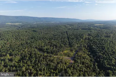 310.87+/- Acres Off Laurel Grove Road, Winchester, VA 22602 - Photo 67