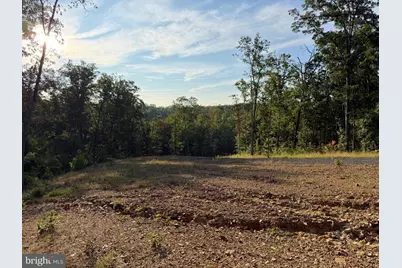 310.87+/- Acres Off Laurel Grove Road, Winchester, VA 22602 - Photo 47