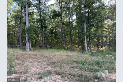 310.87+/- Acres Off Laurel Grove Road, Winchester, VA 22602 - Photo 53