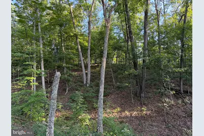 310.87+/- Acres Off Laurel Grove Road, Winchester, VA 22602 - Photo 51