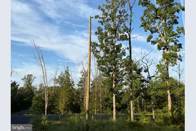 310.87+/- Acres Off Laurel Grove Road, Winchester, VA 22602 - Photo 21